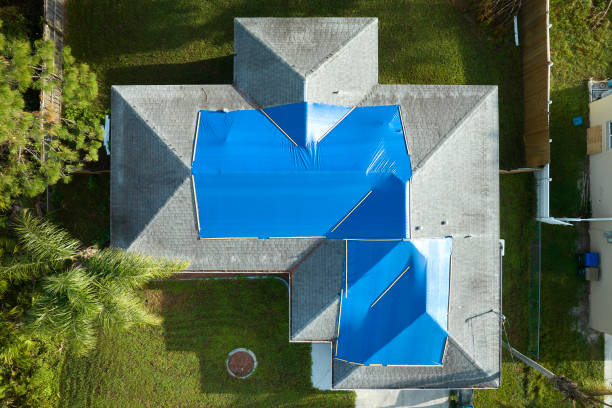 Best Roof Insulation Installation  in Highland Lakes, AL