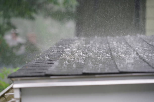 Best Roof Moss and Algae Removal  in Highland Lakes, AL